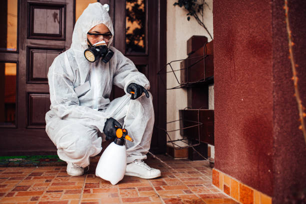 Attic and Crawl Space Rodent Treatment in Indian River Shores