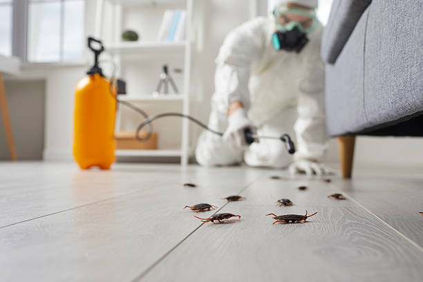 Commercial Rodent Management in Indian River Shores
